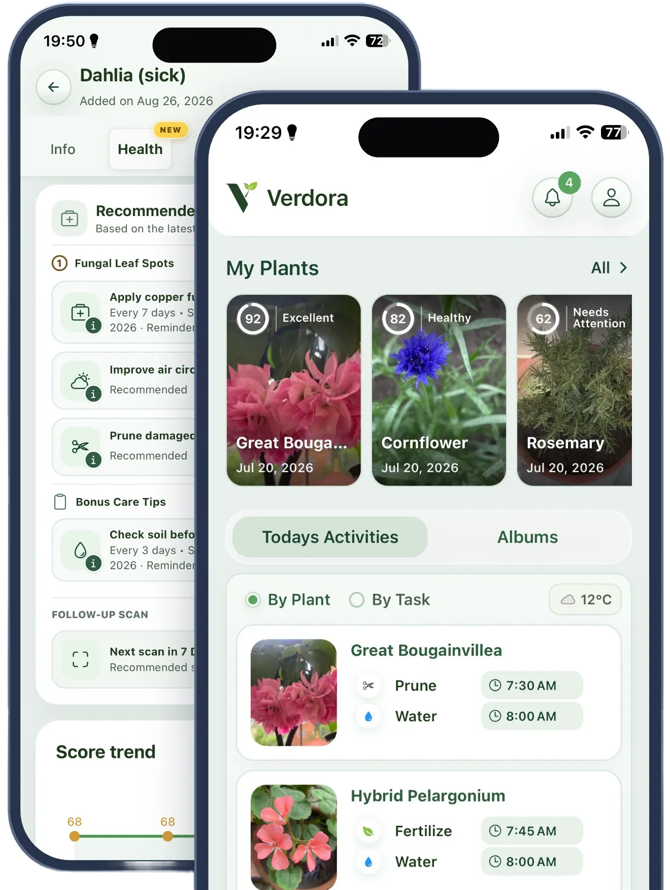 Verdora dashboard showing plants with Health Scores and today's care activities