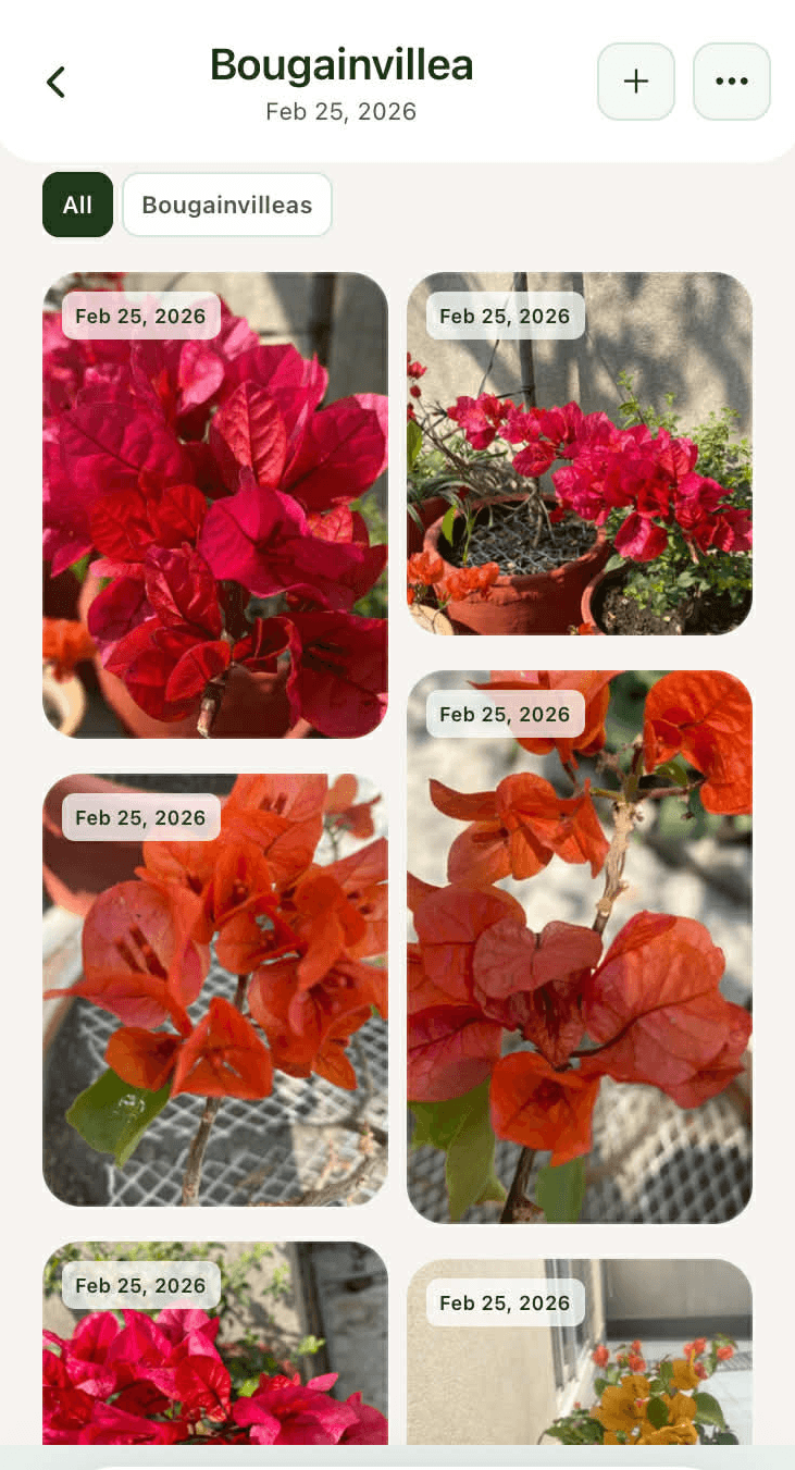 Plant growth photo timeline for tracking progress over time