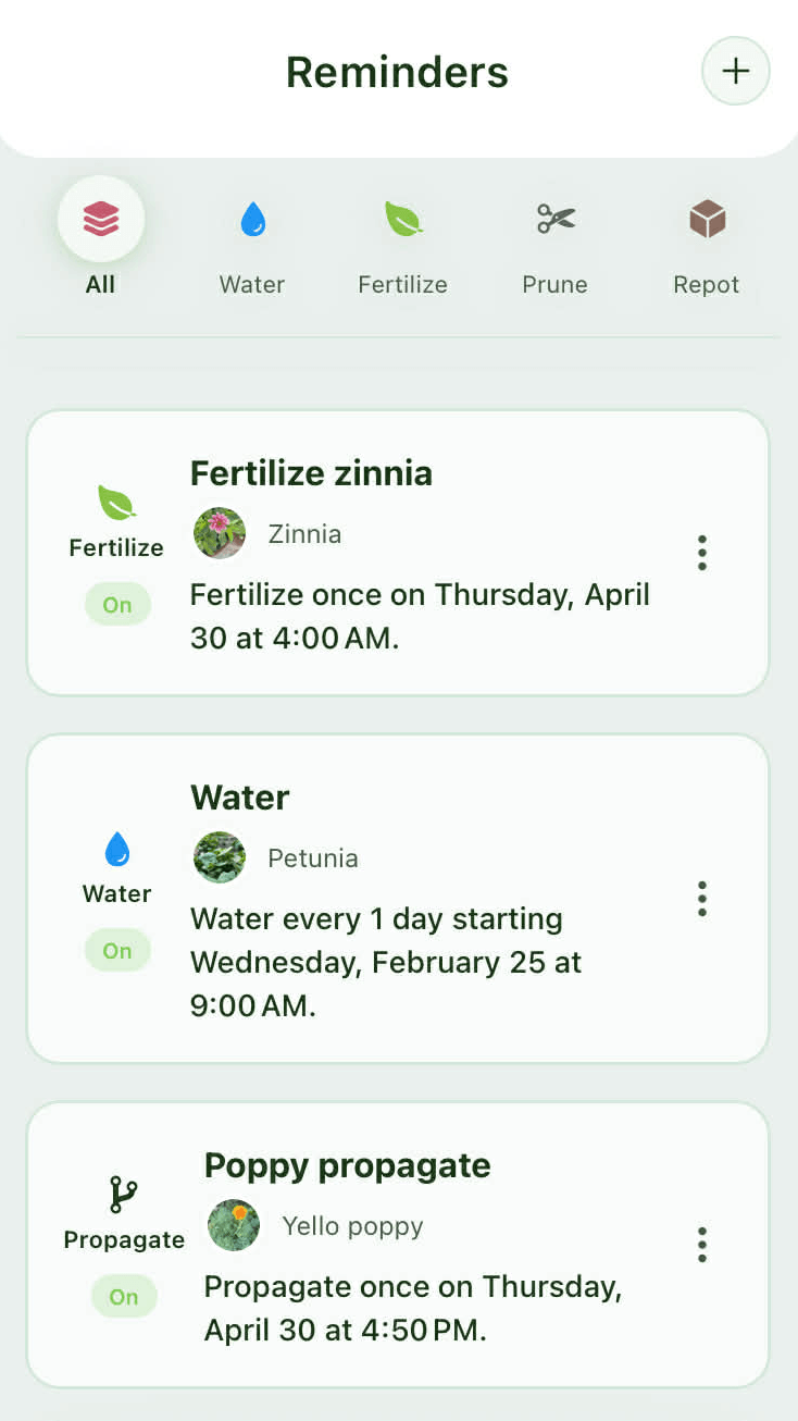 Verdora reminder schedule with recurring watering and care tasks